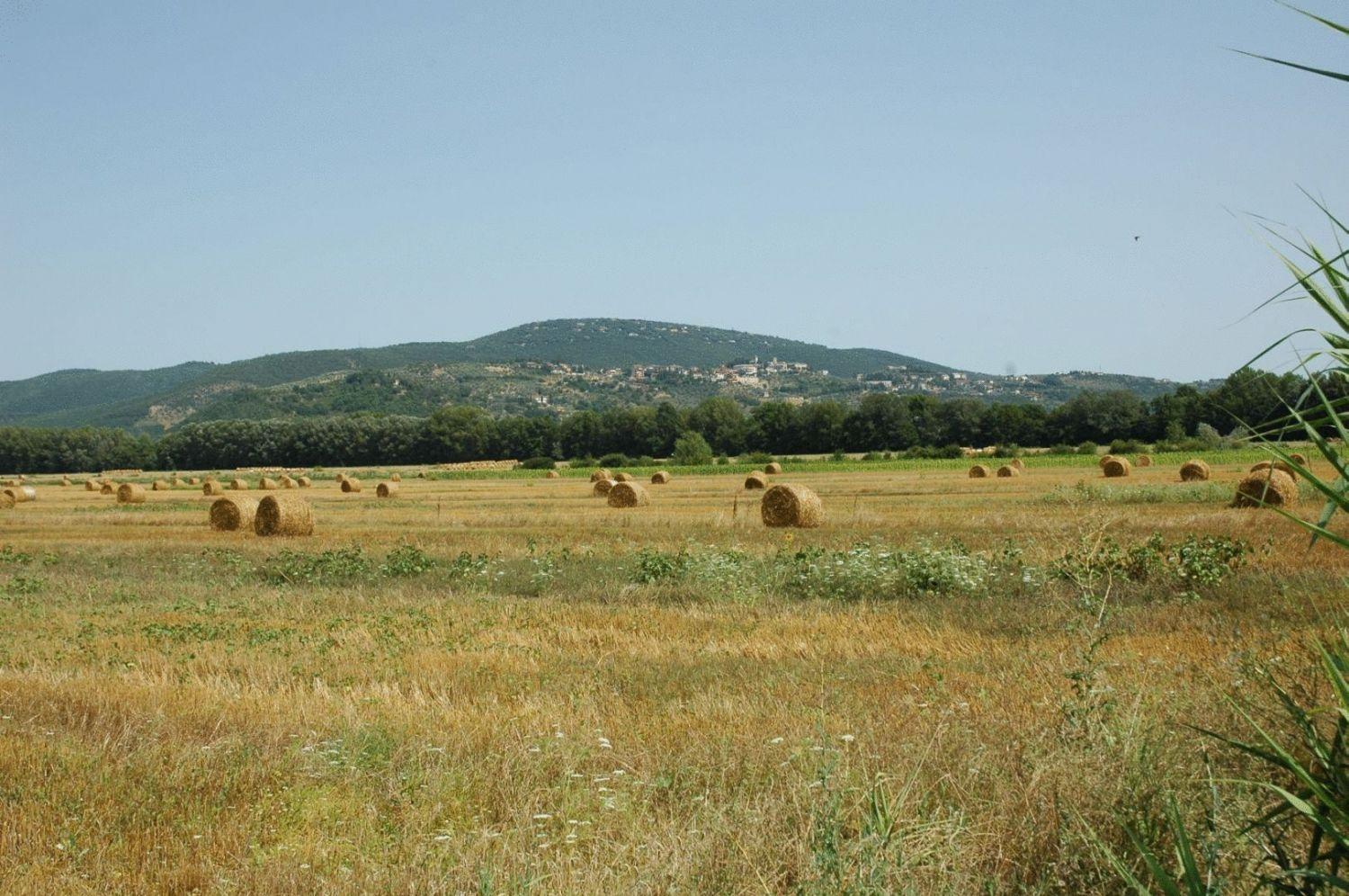 Casa Vacanze Vecchio Granaio มาจิโอเน ภายนอก รูปภาพ